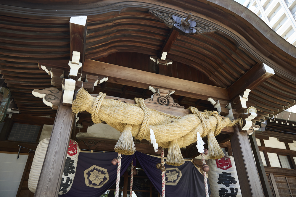 高知で七五三写真を撮りたい！どこの神社を選べばいい？