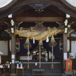 高知で七五三におすすめの神社・お寺5選｜写真映えする参拝スポットは？